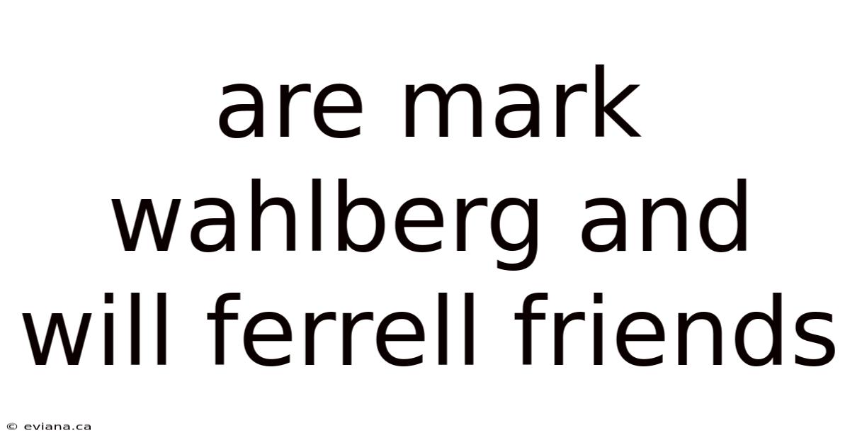 Are Mark Wahlberg And Will Ferrell Friends