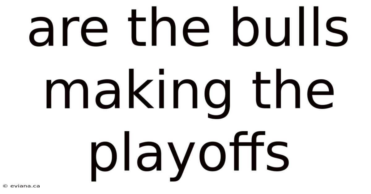 Are The Bulls Making The Playoffs