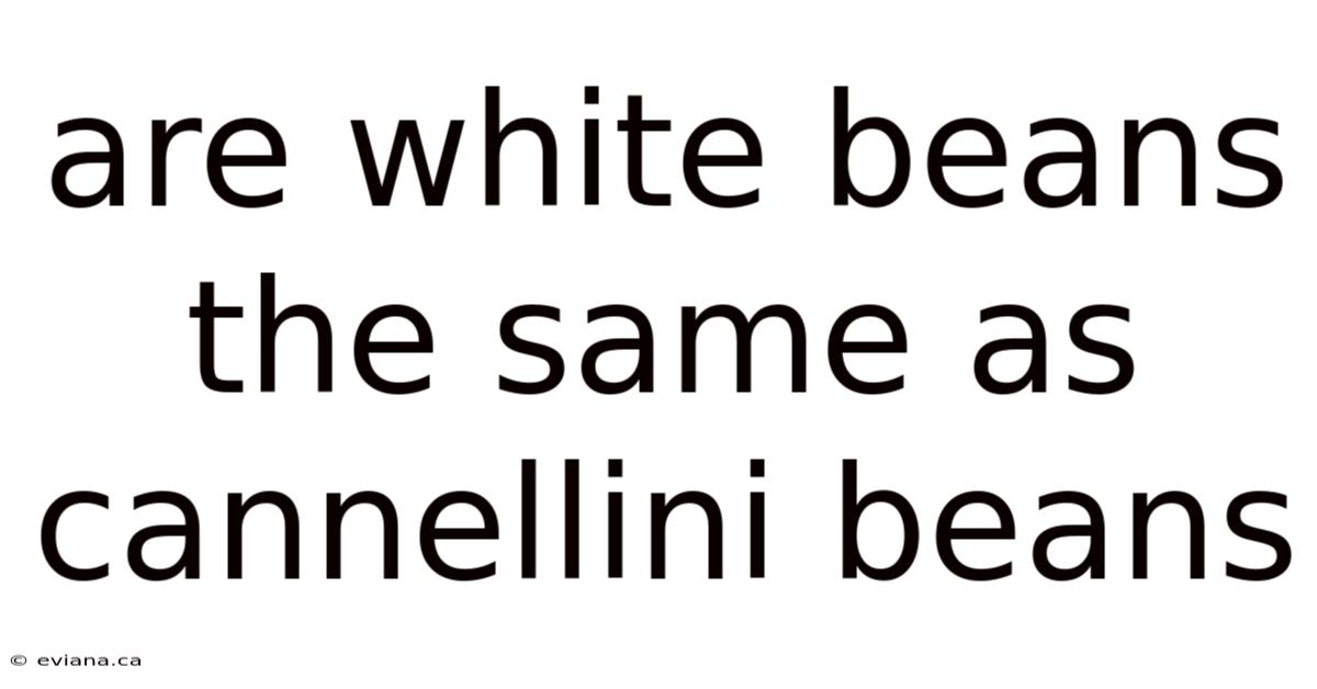 Are White Beans The Same As Cannellini Beans