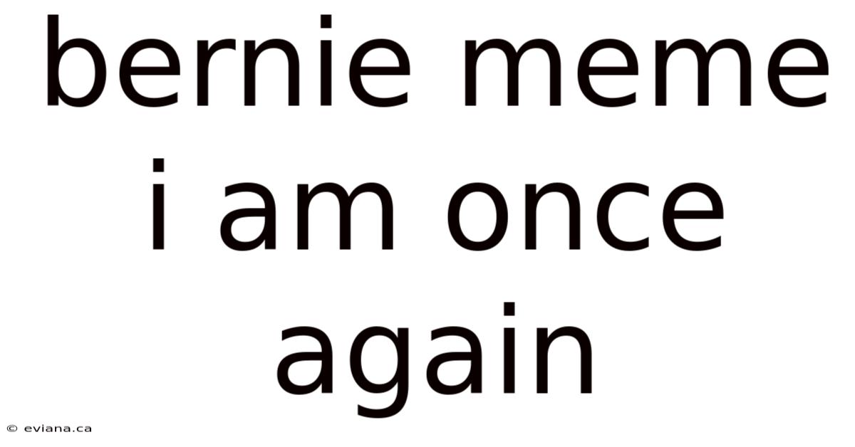 Bernie Meme I Am Once Again