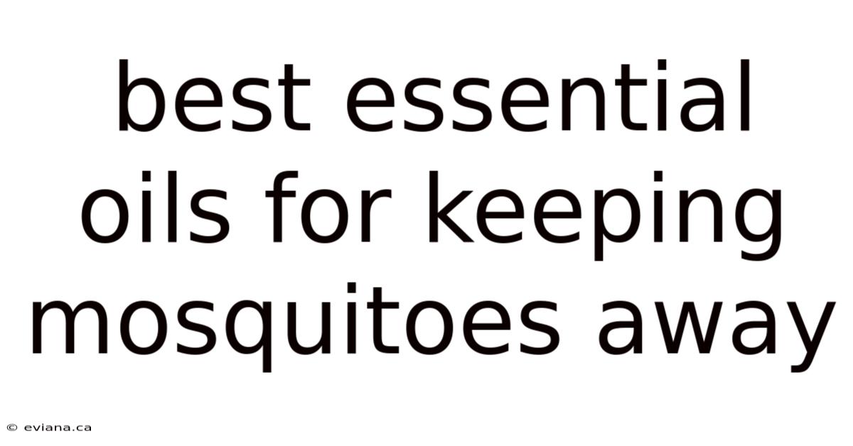 Best Essential Oils For Keeping Mosquitoes Away
