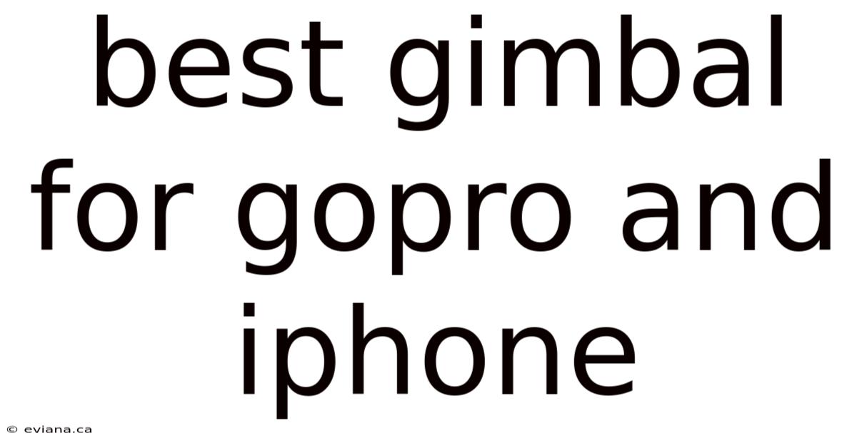 Best Gimbal For Gopro And Iphone