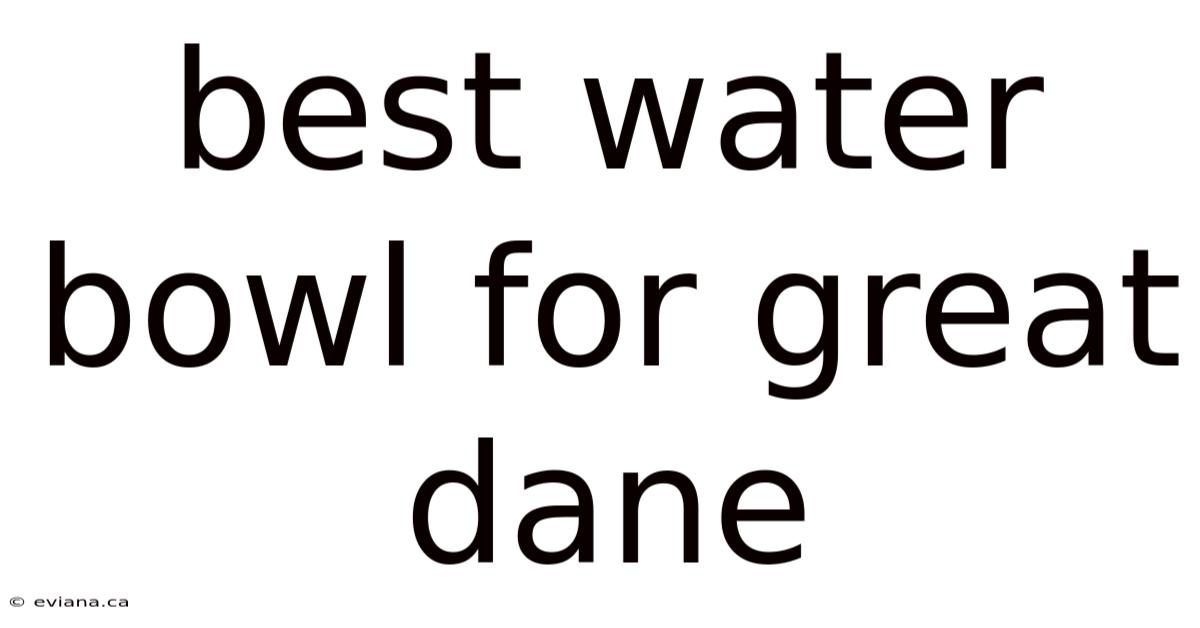 Best Water Bowl For Great Dane