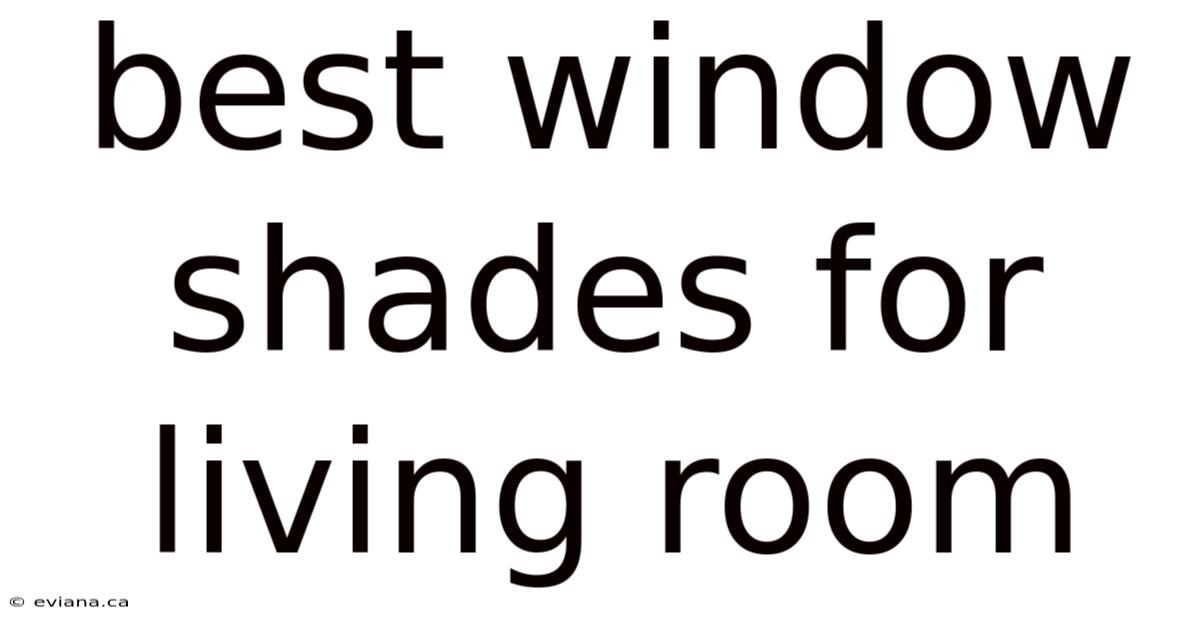 Best Window Shades For Living Room