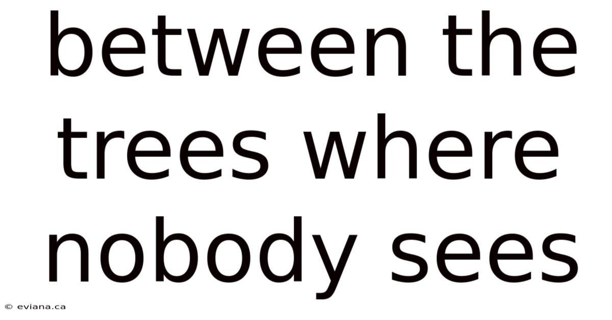 Between The Trees Where Nobody Sees