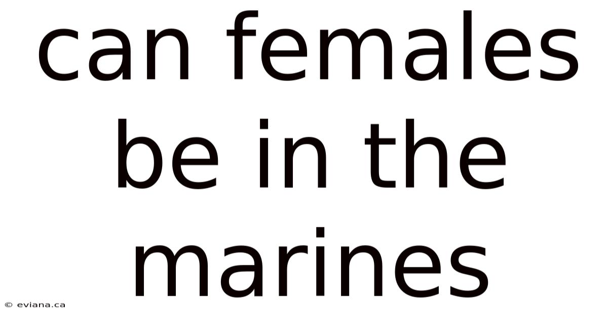 Can Females Be In The Marines