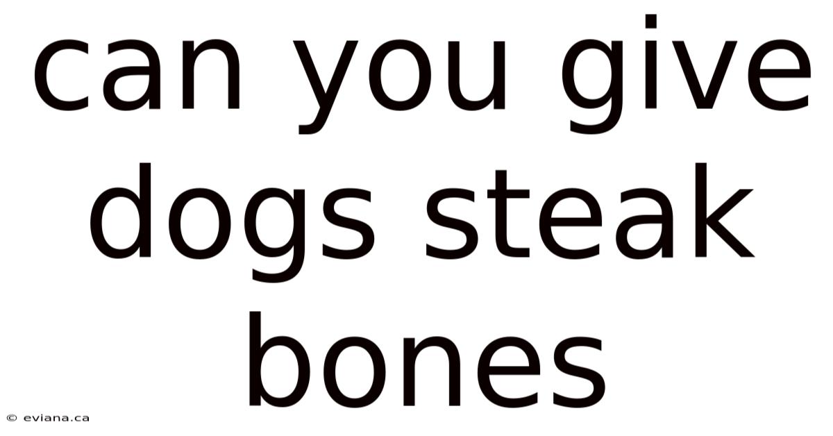 Can You Give Dogs Steak Bones