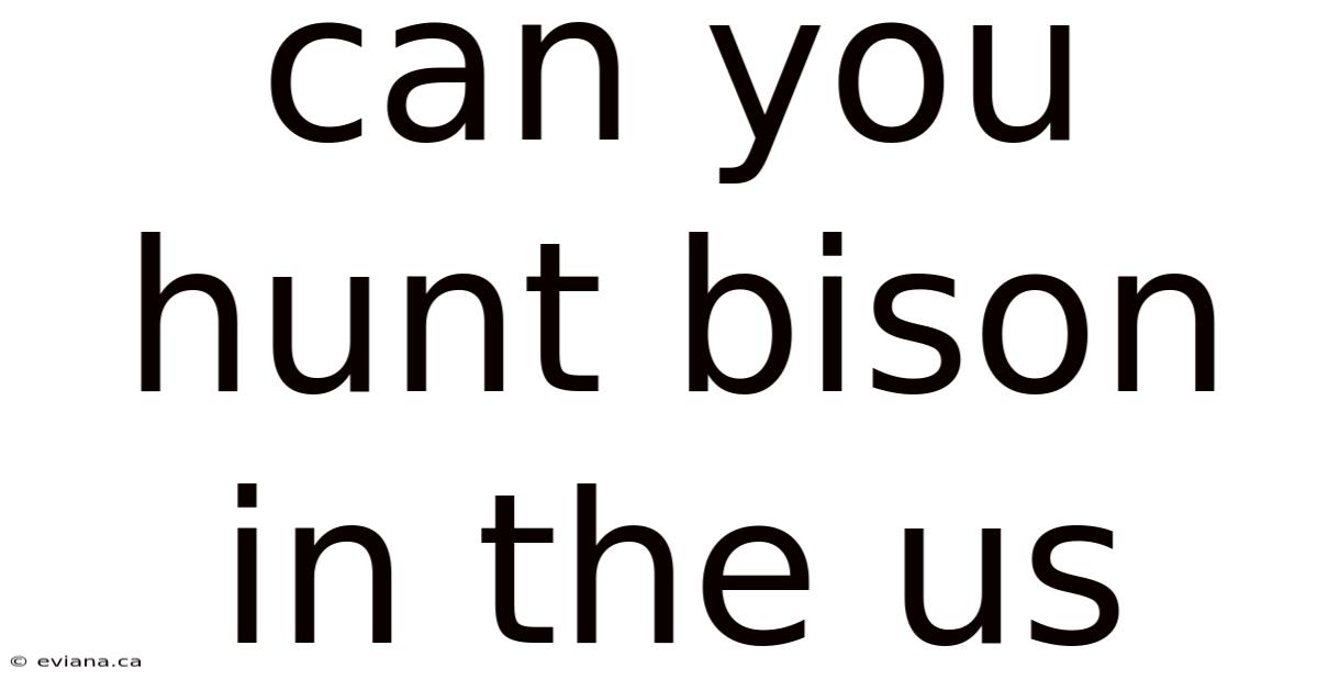 Can You Hunt Bison In The Us