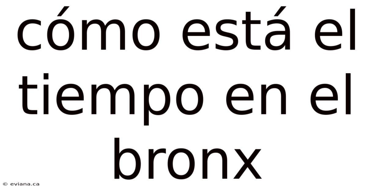 Cómo Está El Tiempo En El Bronx