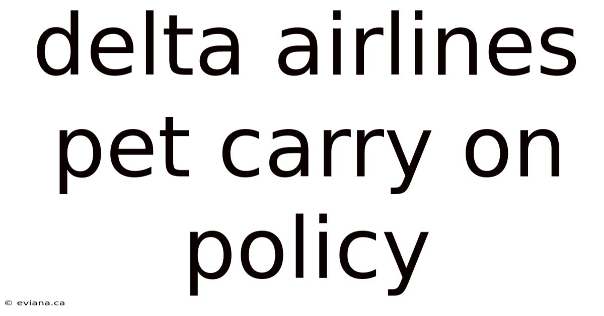 Delta Airlines Pet Carry On Policy
