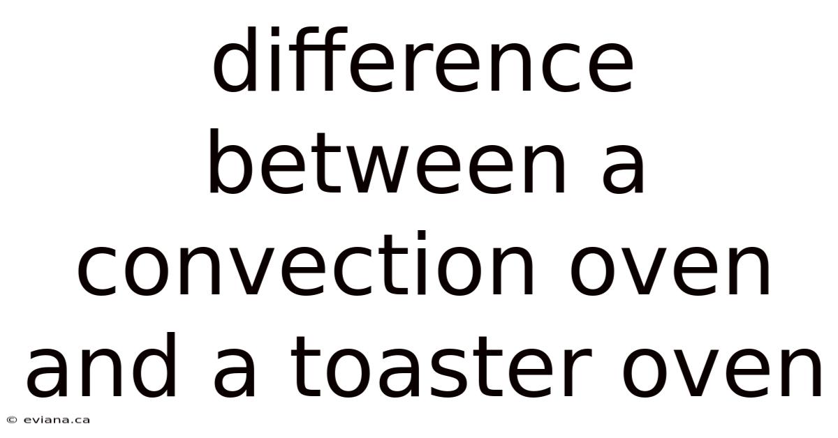 Difference Between A Convection Oven And A Toaster Oven