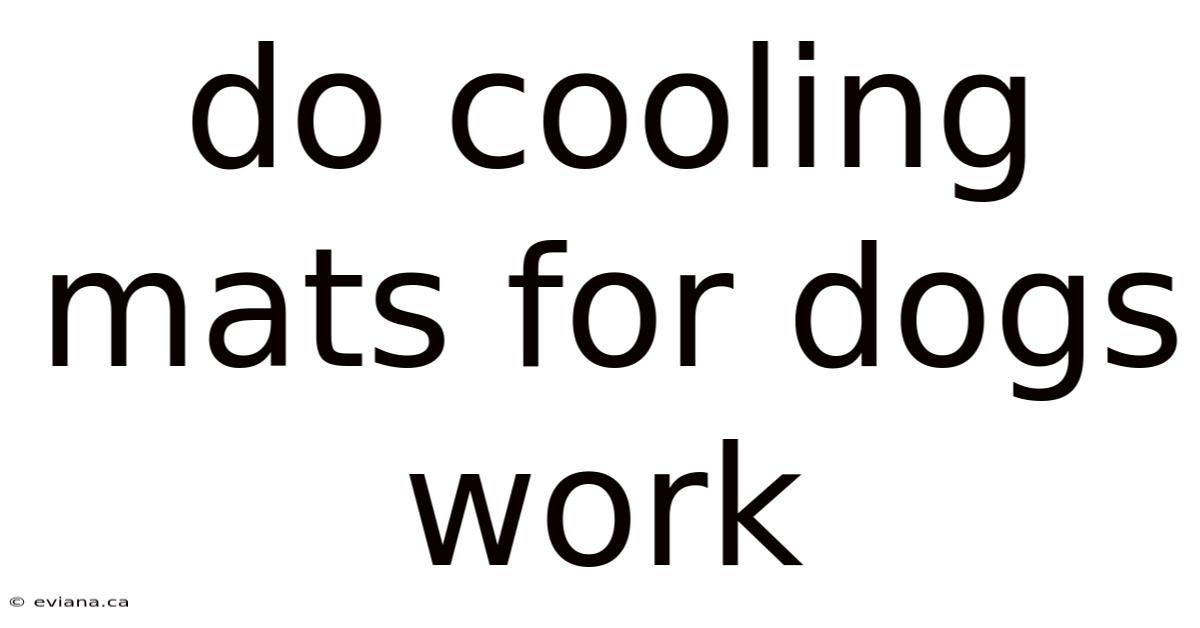 Do Cooling Mats For Dogs Work