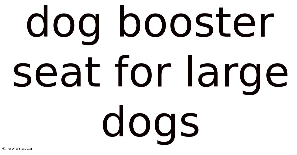 Dog Booster Seat For Large Dogs