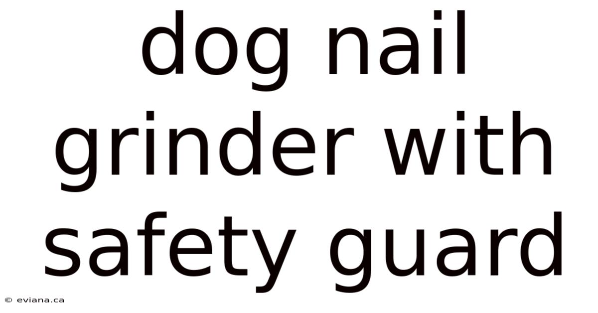 Dog Nail Grinder With Safety Guard