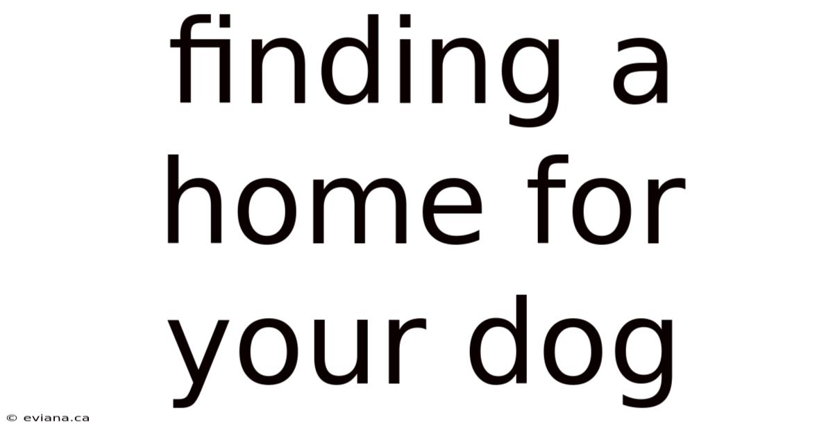 Finding A Home For Your Dog