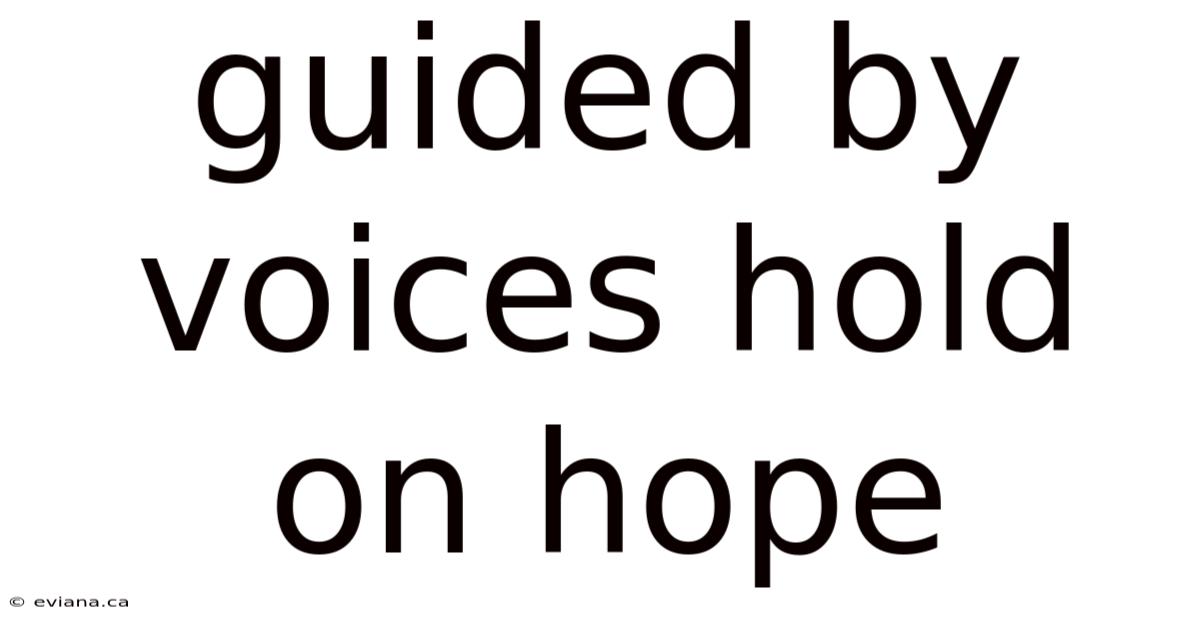 Guided By Voices Hold On Hope