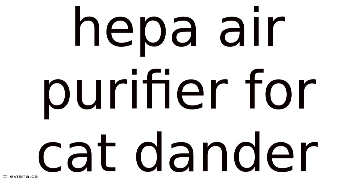 Hepa Air Purifier For Cat Dander
