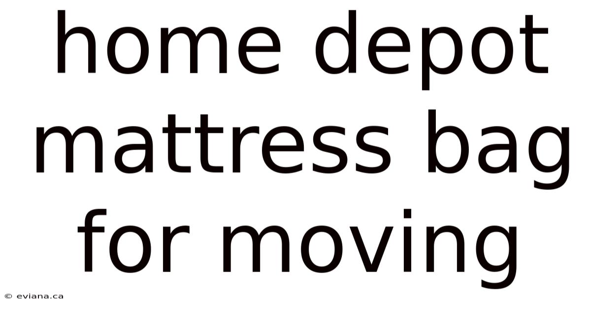 Home Depot Mattress Bag For Moving