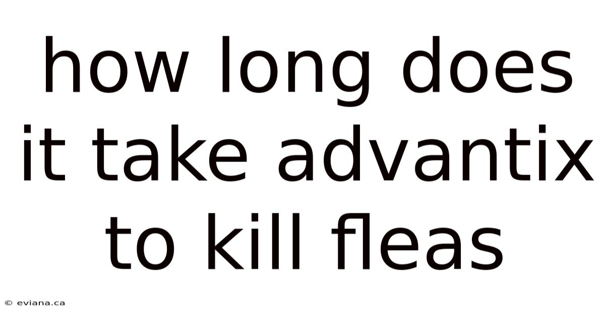 How Long Does It Take Advantix To Kill Fleas