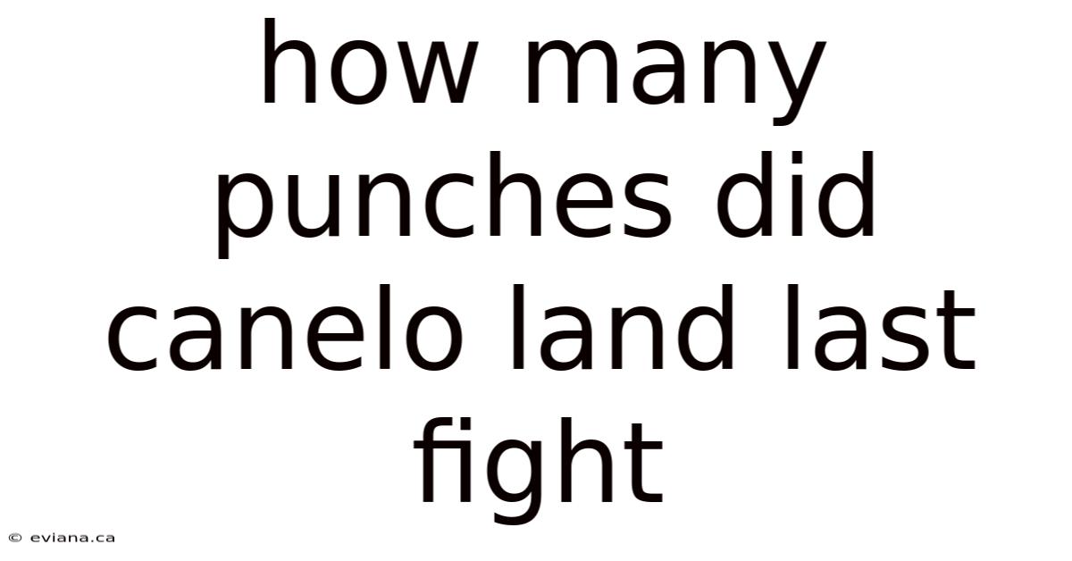 How Many Punches Did Canelo Land Last Fight