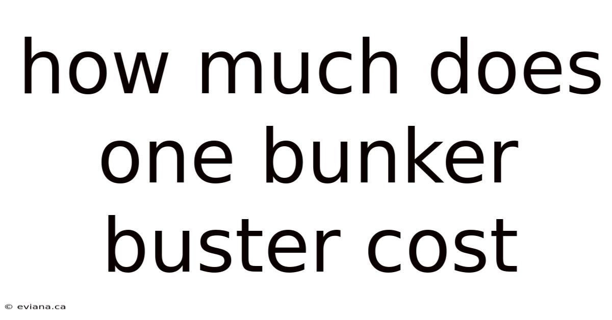 How Much Does One Bunker Buster Cost
