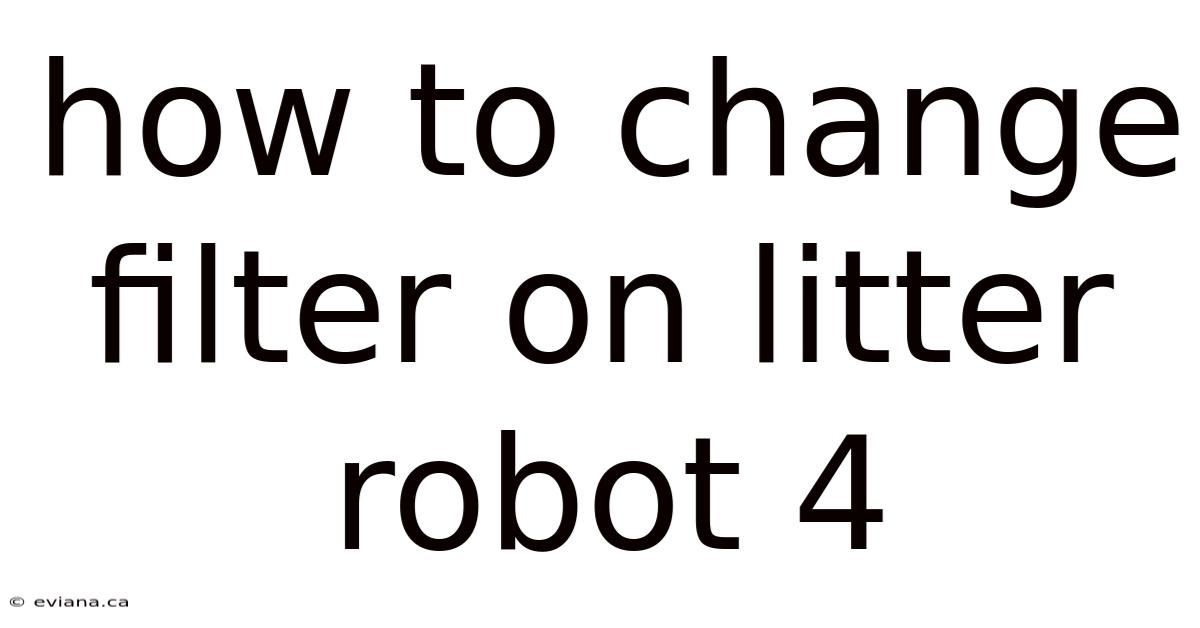 How To Change Filter On Litter Robot 4