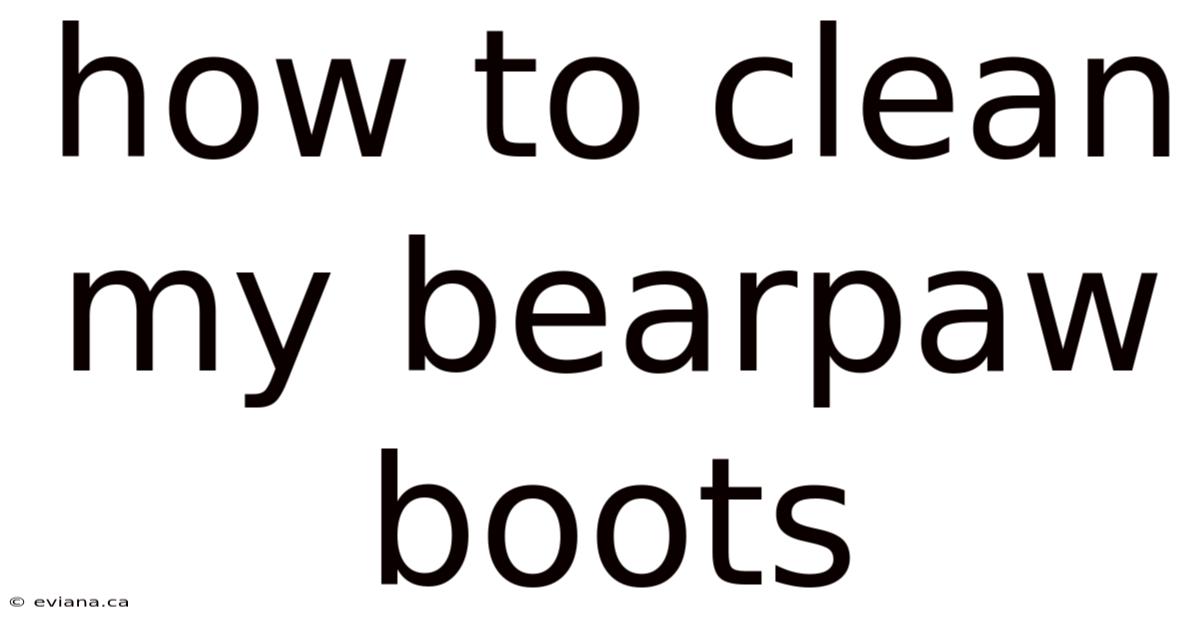 How To Clean My Bearpaw Boots