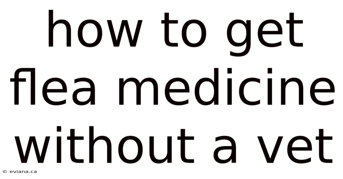 How To Get Flea Medicine Without A Vet