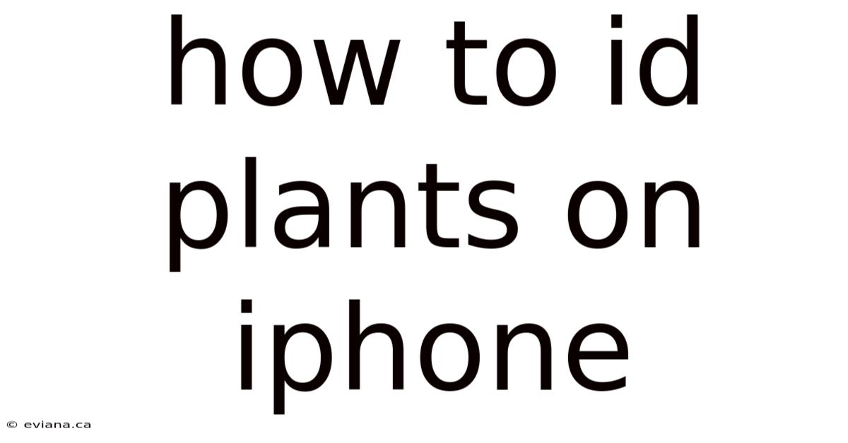 How To Id Plants On Iphone