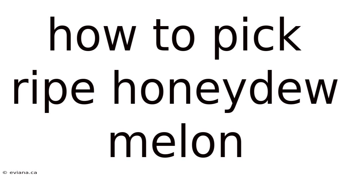 How To Pick Ripe Honeydew Melon