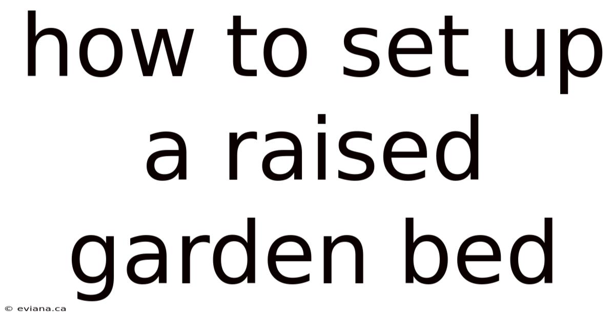 How To Set Up A Raised Garden Bed