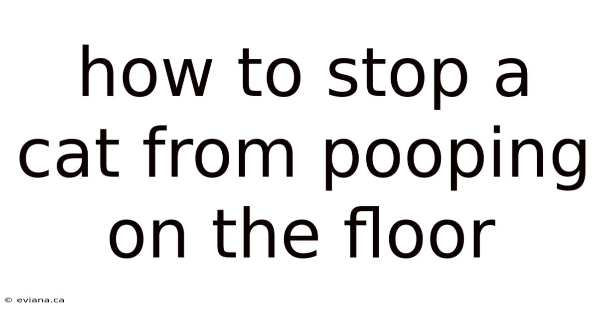 How To Stop A Cat From Pooping On The Floor