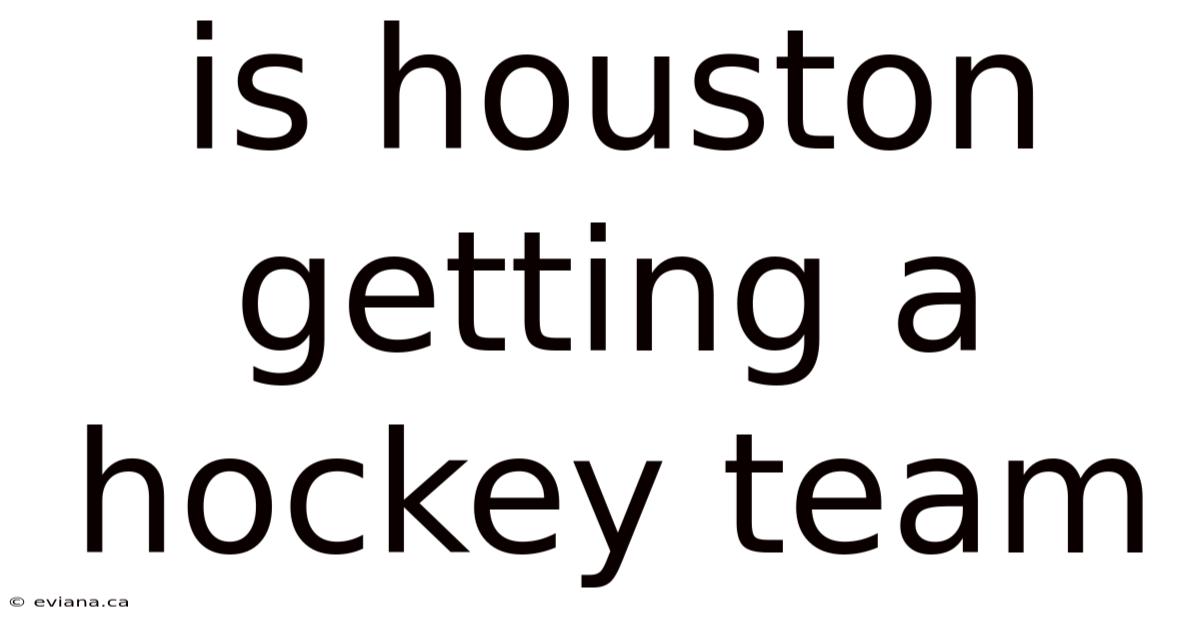 Is Houston Getting A Hockey Team