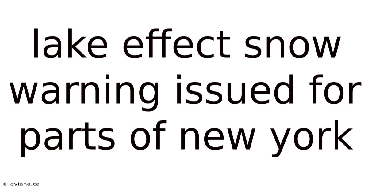 Lake Effect Snow Warning Issued For Parts Of New York