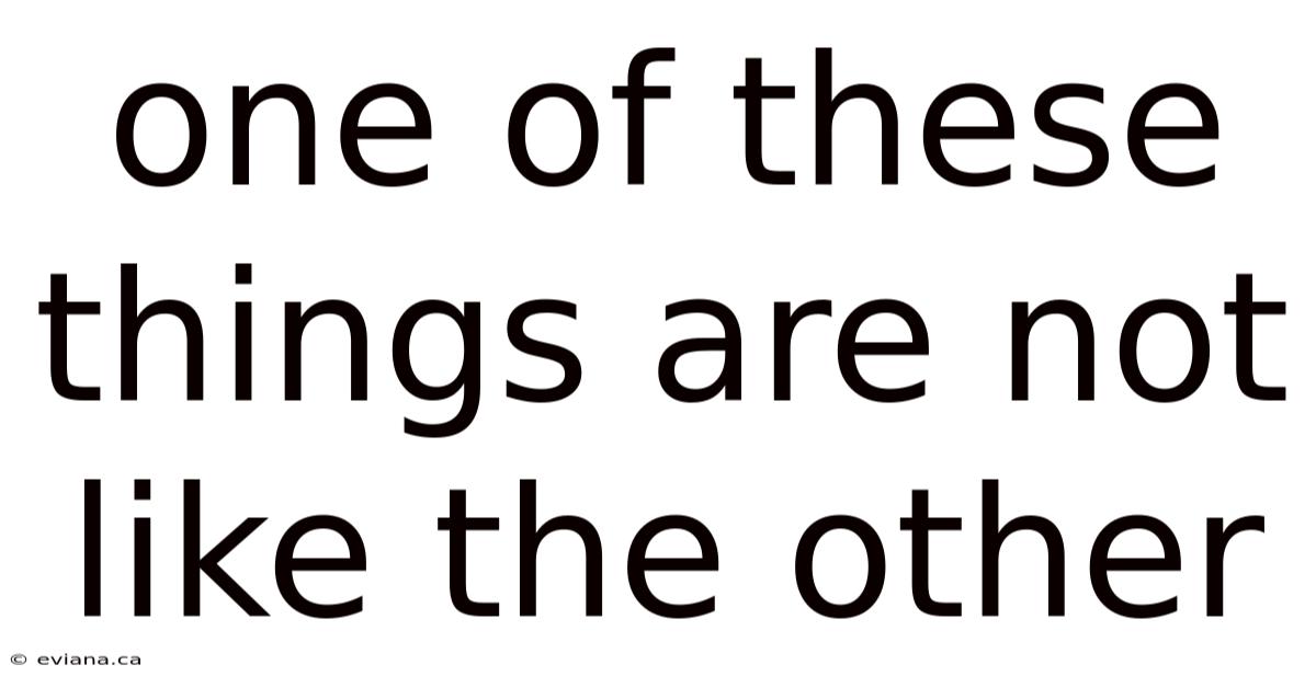 One Of These Things Are Not Like The Other