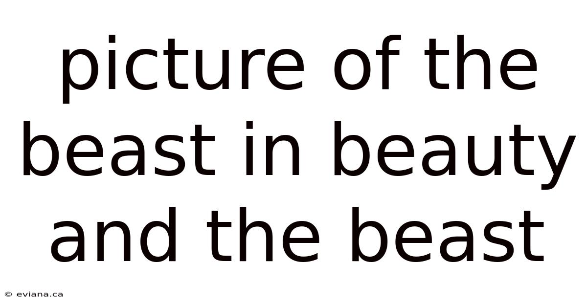 Picture Of The Beast In Beauty And The Beast