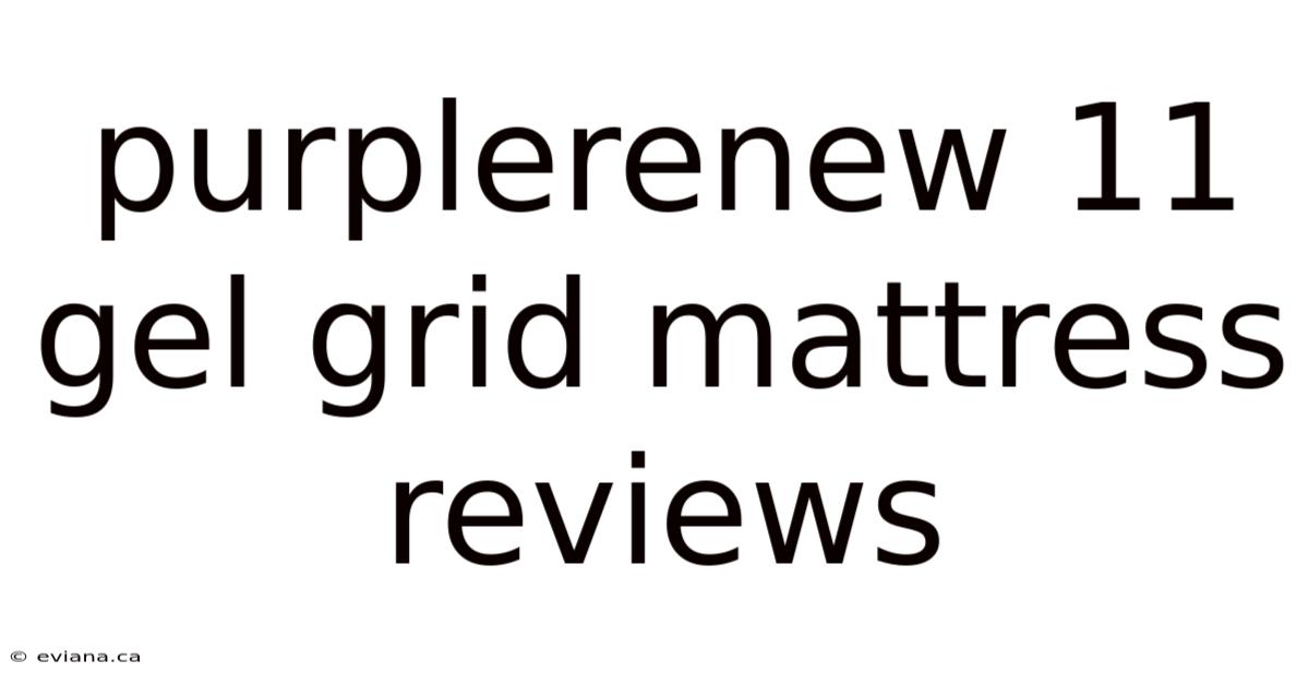 Purplerenew 11 Gel Grid Mattress Reviews