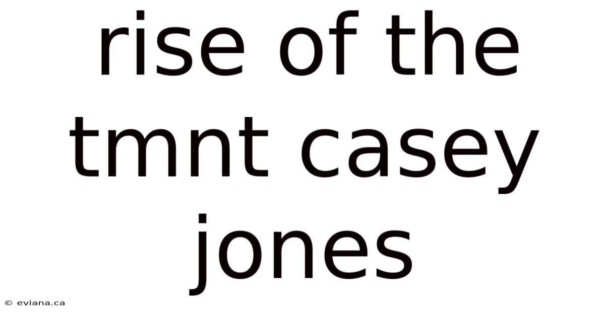 Rise Of The Tmnt Casey Jones