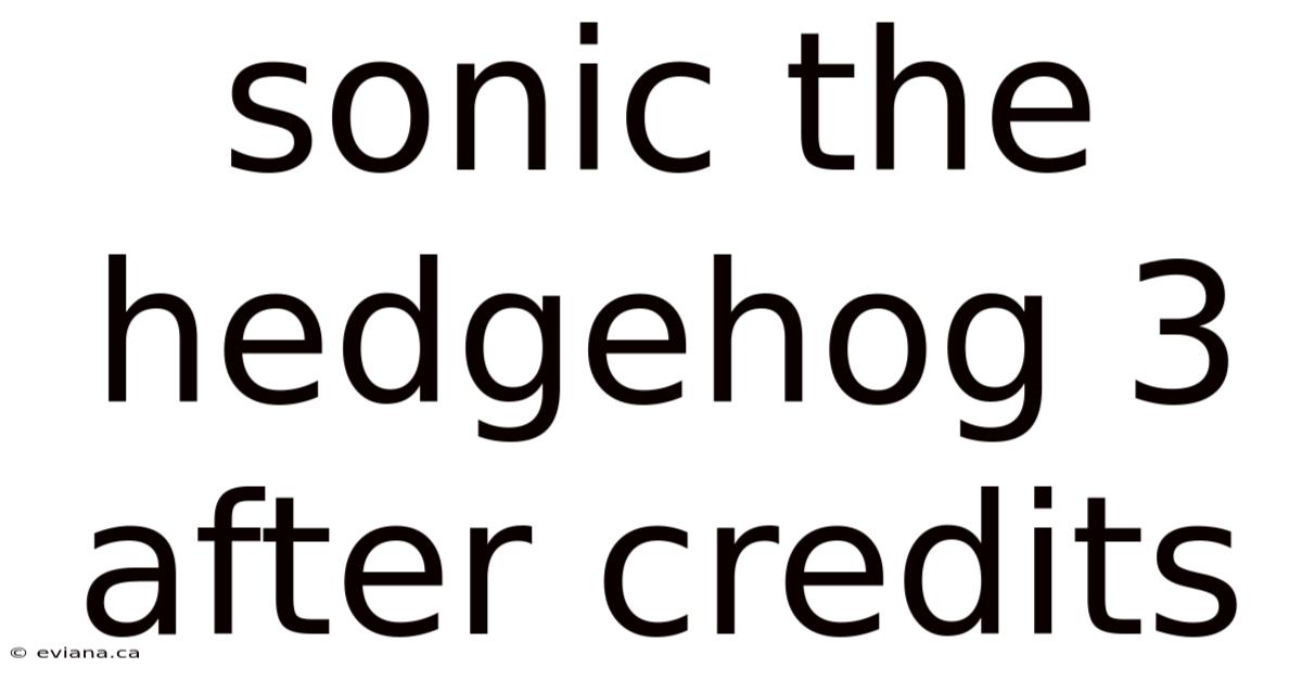 Sonic The Hedgehog 3 After Credits