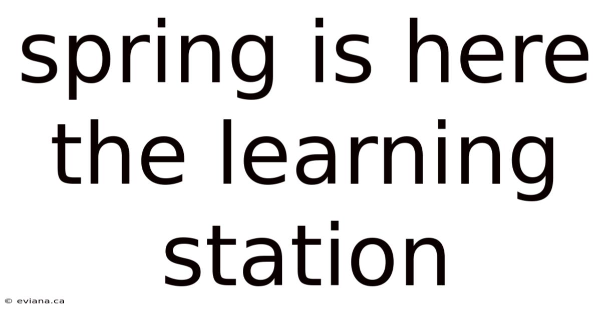 Spring Is Here The Learning Station