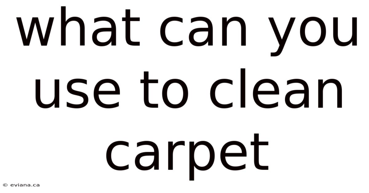 What Can You Use To Clean Carpet