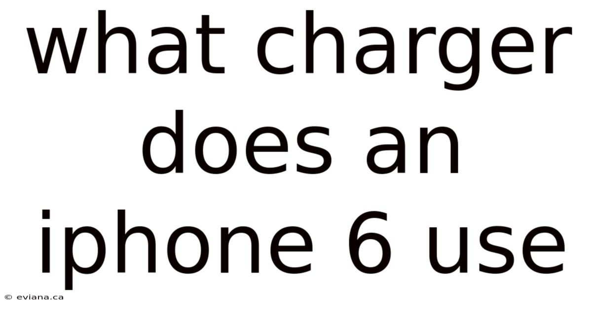 What Charger Does An Iphone 6 Use