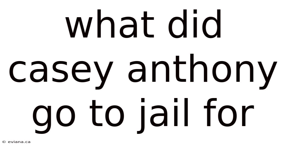 What Did Casey Anthony Go To Jail For