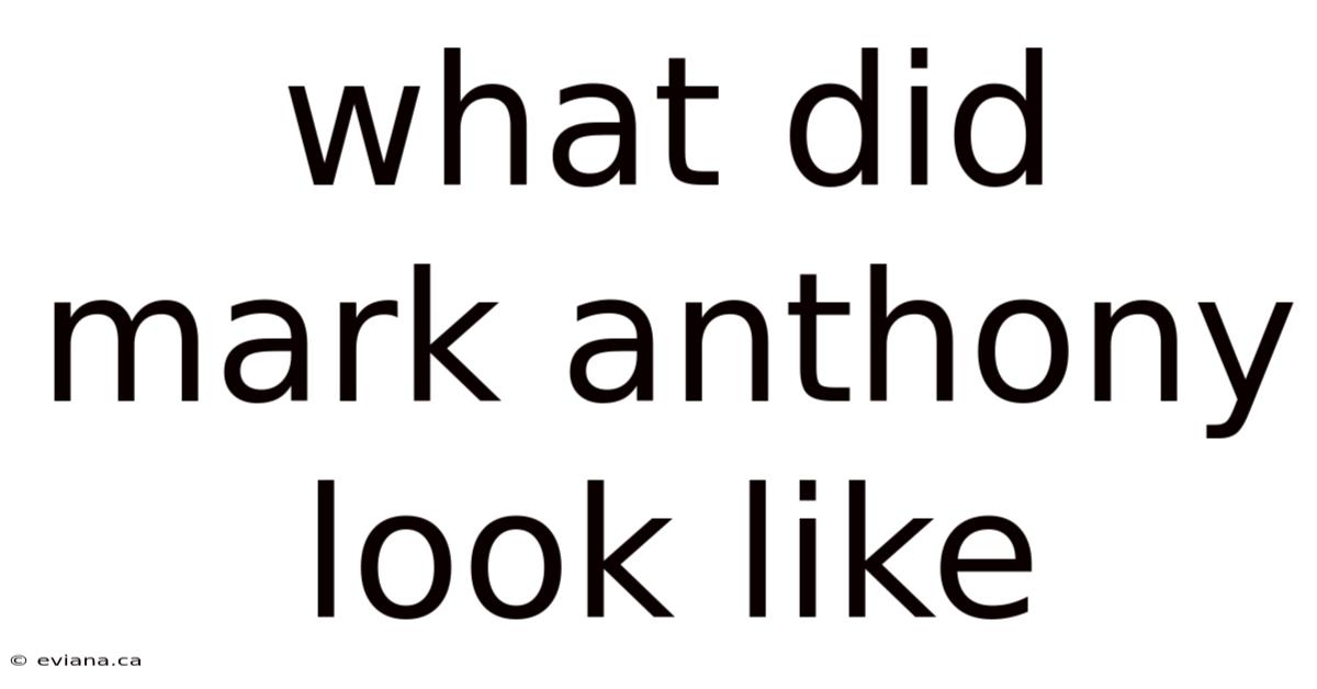 What Did Mark Anthony Look Like