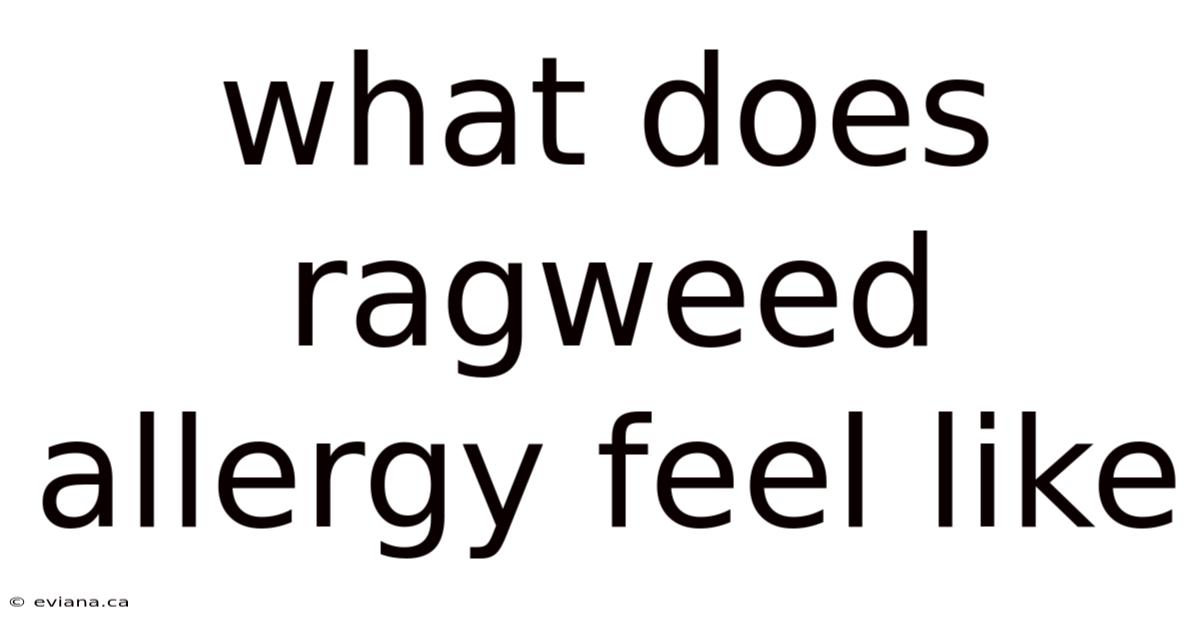 What Does Ragweed Allergy Feel Like