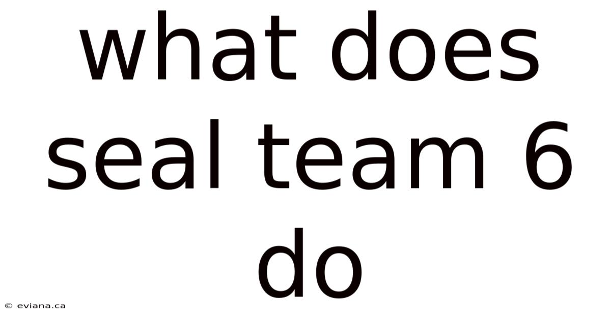 What Does Seal Team 6 Do