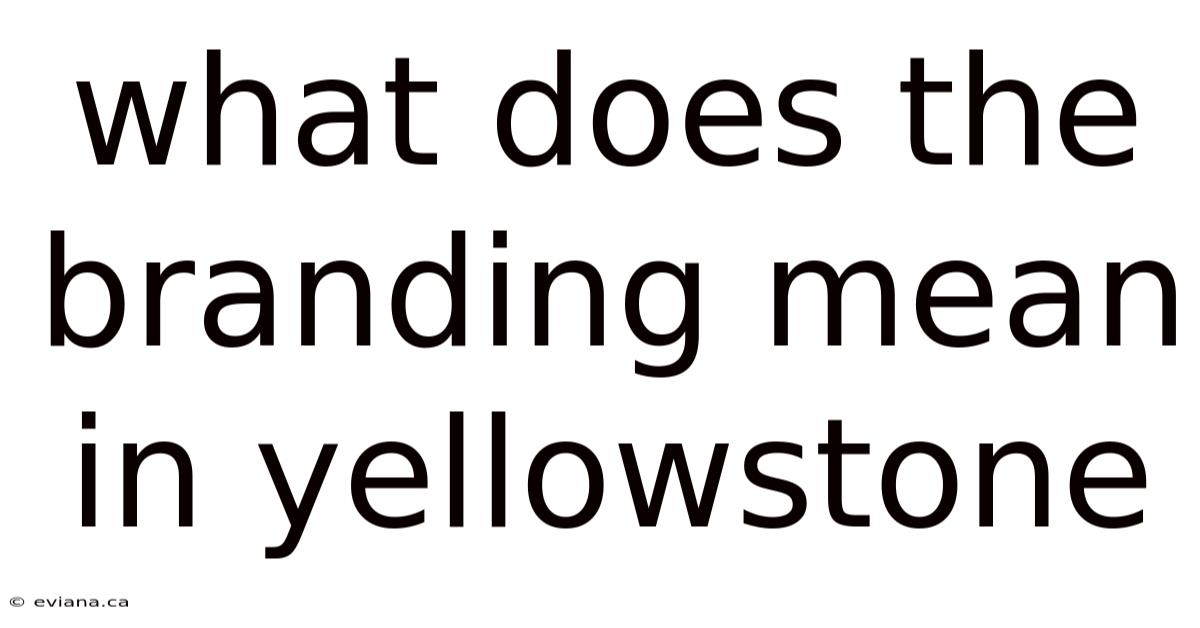 What Does The Branding Mean In Yellowstone