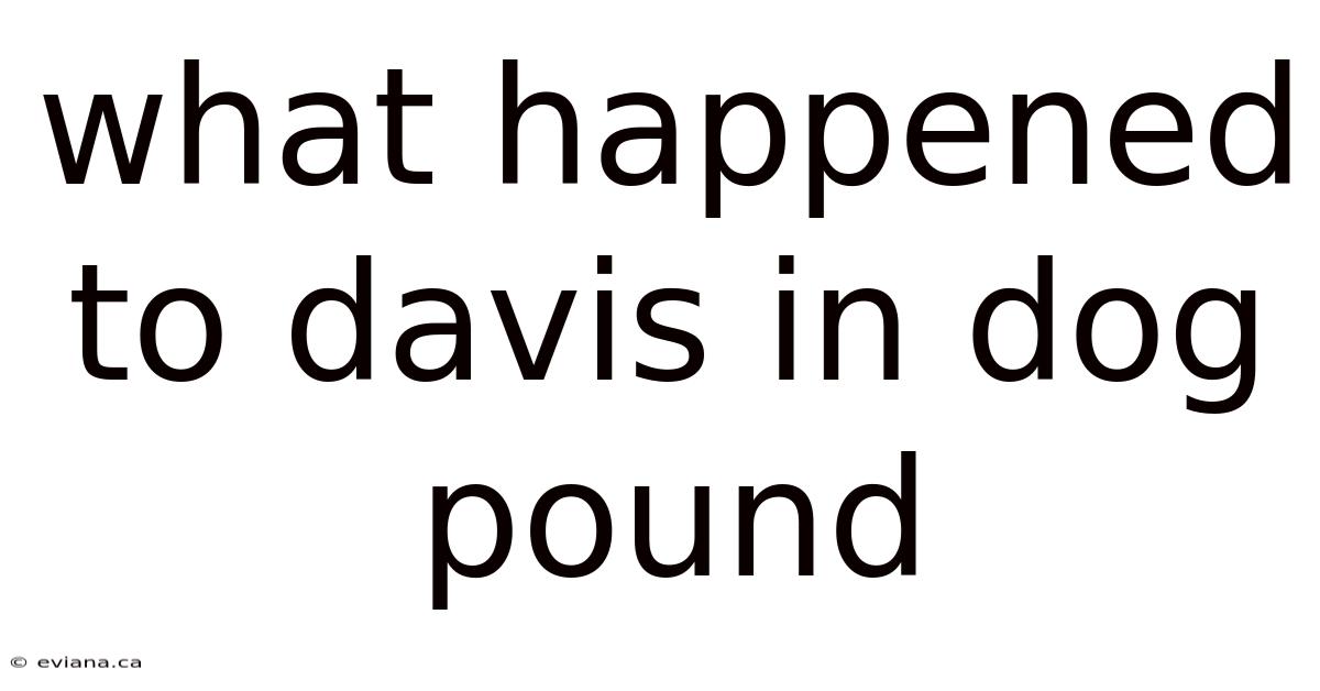 What Happened To Davis In Dog Pound