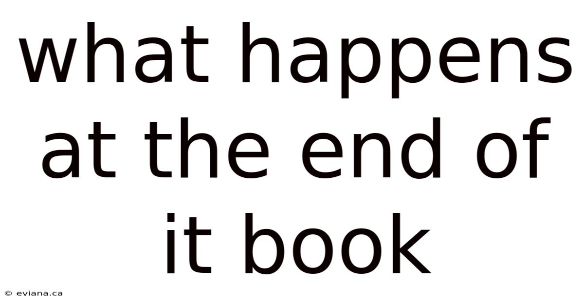 What Happens At The End Of It Book