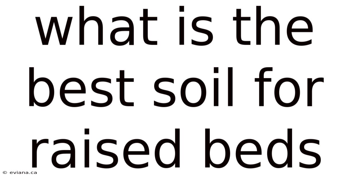 What Is The Best Soil For Raised Beds